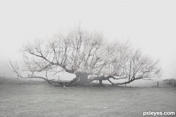 Mist with snow